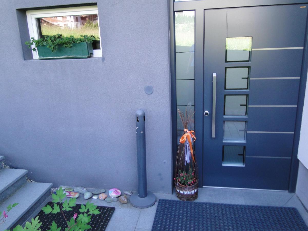 Appartement Gipfelsturm Haus im Ennstal Exterior foto